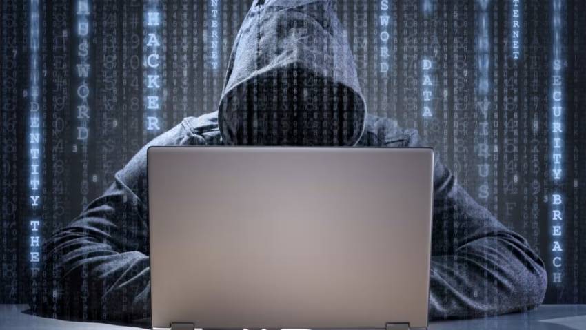 红河小程序定制开发：.NET的利刃与暗礁